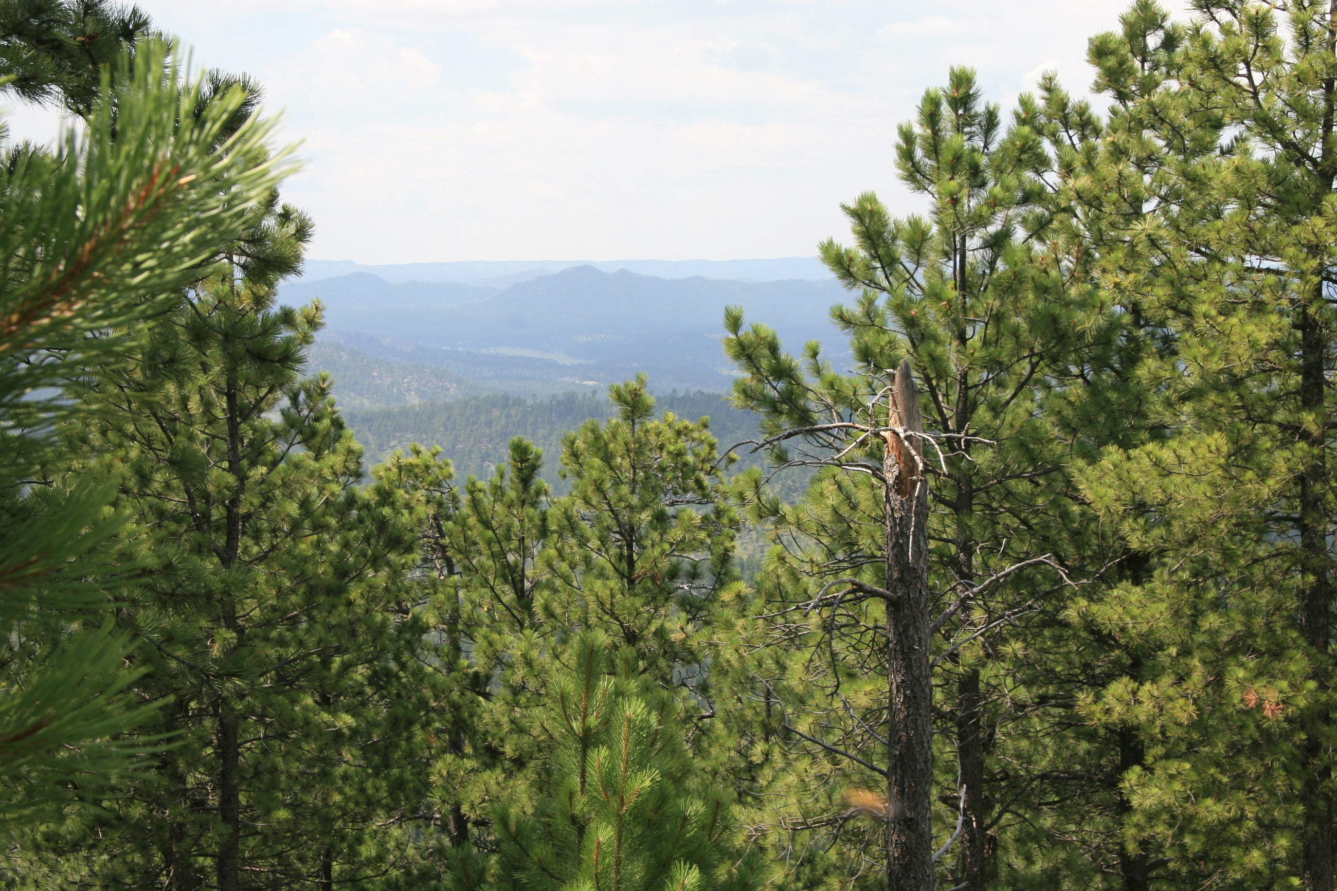 Hike & Climb
